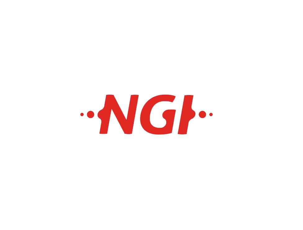 NGI_LOGO