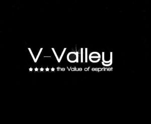 V-Valley_logo