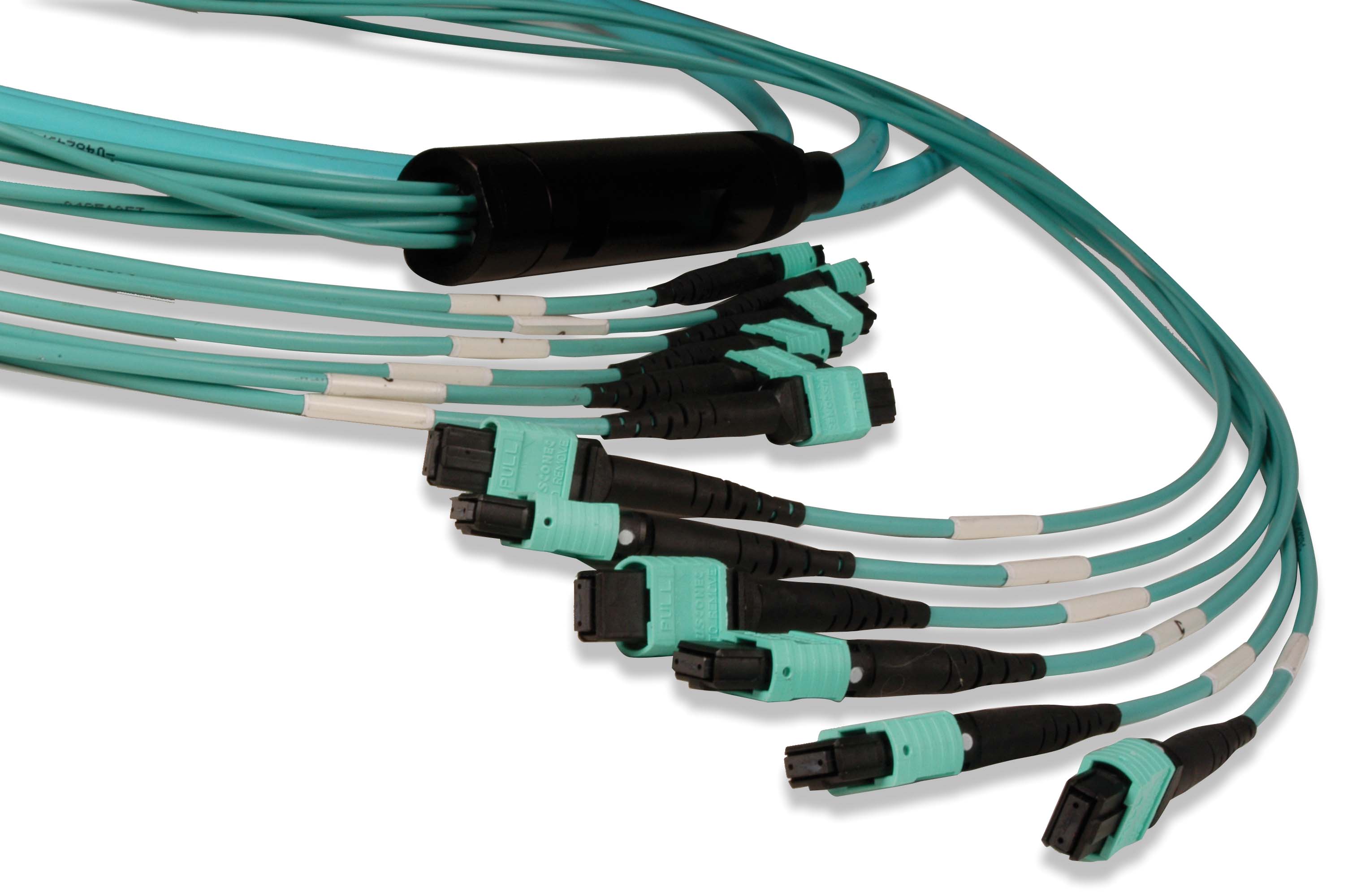 Moduli e cavi preconnettorizzati plug-and-play low-loss da Siemon - Top Trade