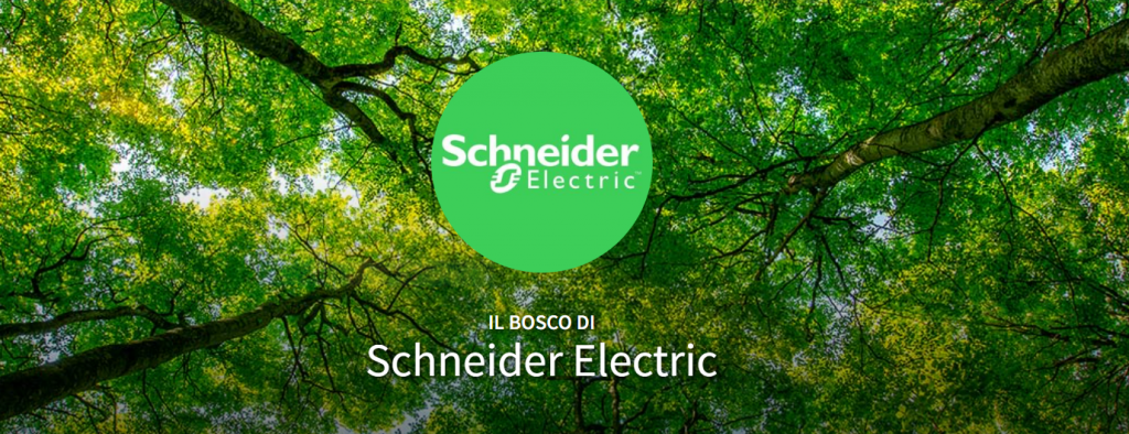 Schneider Electric TreeNation