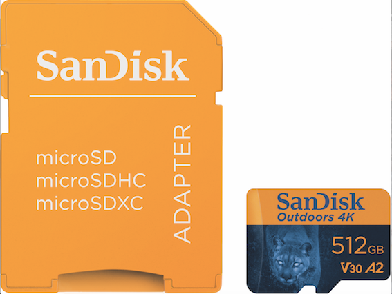 Catturare e conservare