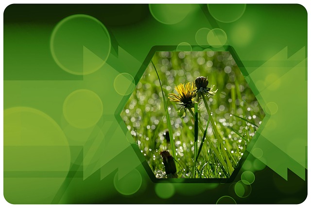 TD SYNNEX registra importanti progressi in ambito ESG TD-SYNNEX