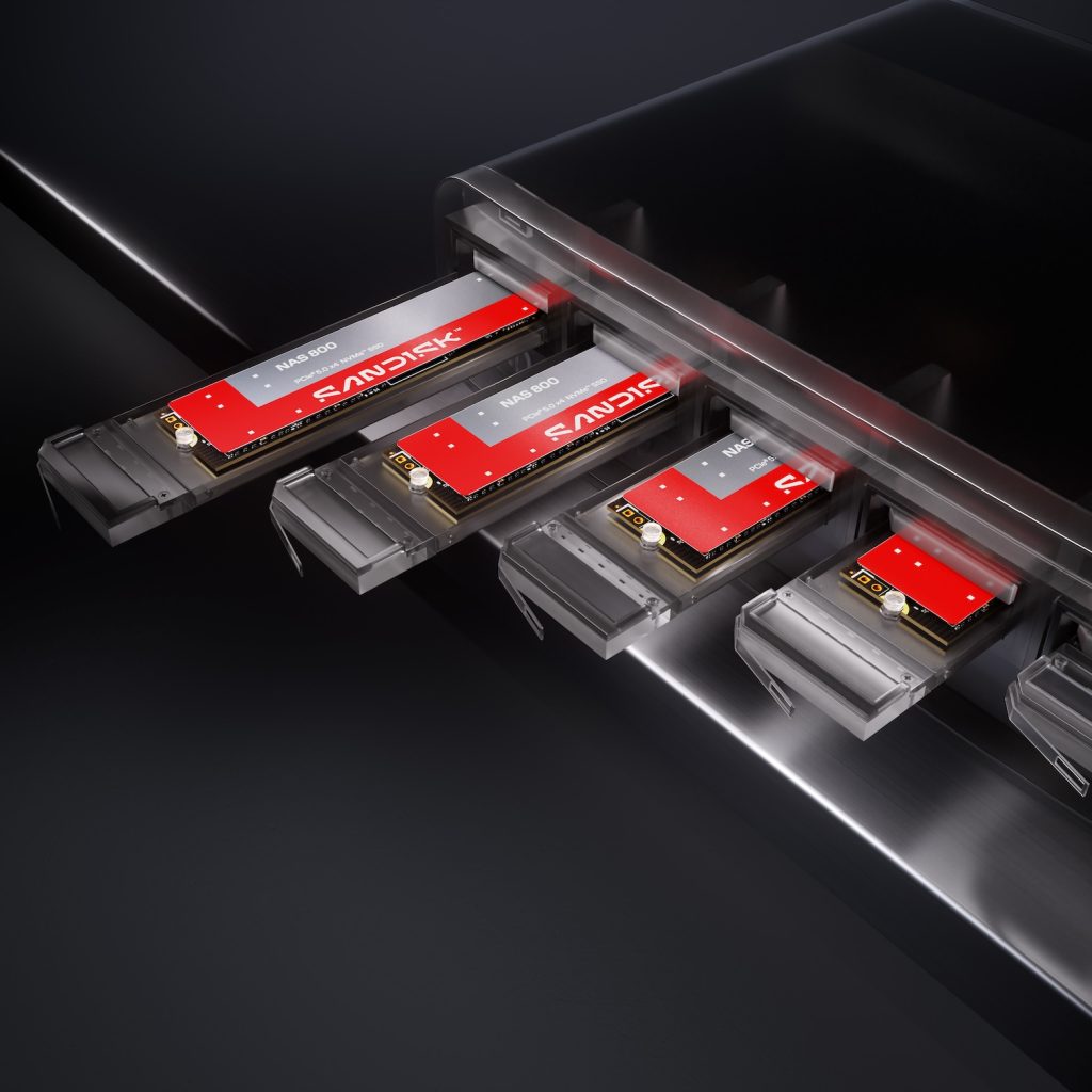 SANDISK NAS SSD